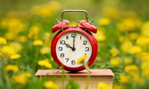 istock Alarm clock in the flowers, spring or daylight savings time background 2032580336