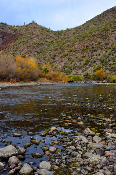 istock Salt River Recreation Area Arizona 2032580373