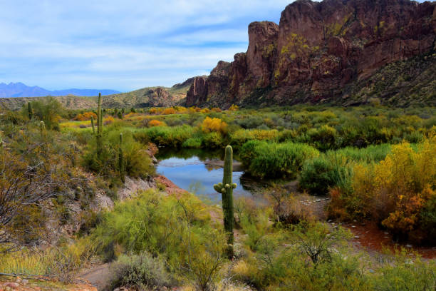 Salt River Arizona recreation area, Desert Mountains, east of Phoenix Arizona