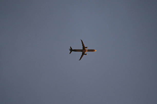 jet plane flying under a blue sky, illuminated frontally by the evening light - POA,  SAO PAULO,  BRAZIL.