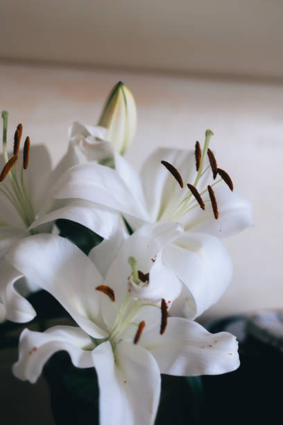 istock white flowers in a green vase on a table with a wall 2032608189