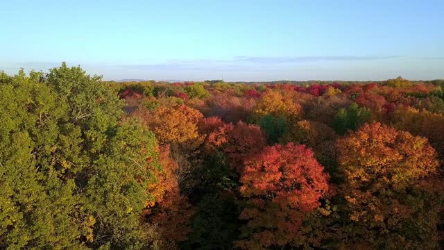 Aerial view from a drone revealing the woods in Laval Fabreville and the city of Montreal in the background