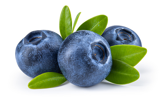 Blueberry isolated. Blueberry with leaves on white background. Three blueberries with clipping path. Full depth of field.