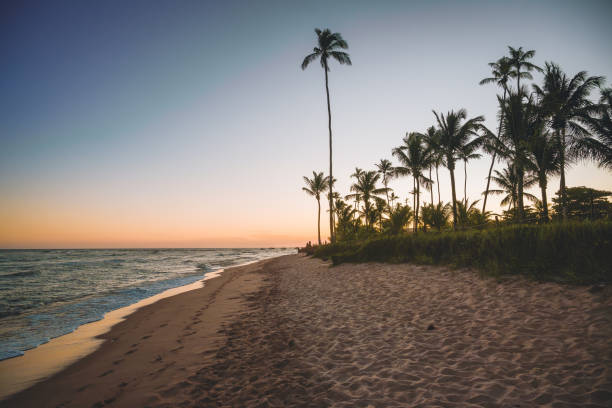 walk at blue hour at Guarajuba beach in Bahia-Brazil