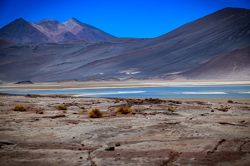 Desert view in piedra Roja at San pedro de Atacama