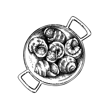 Escargot vintage drawing. Traditional food from France sketch. French restaurant menu design. Edible snails Hand-drawn food illustration
