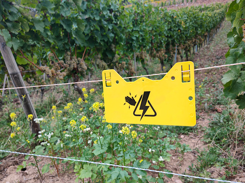 Close-up shot of yellow electric fence warning sign in vineyard