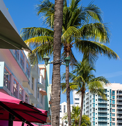 Houses and palms at South Beach Miami. Blue sky, sunny day.