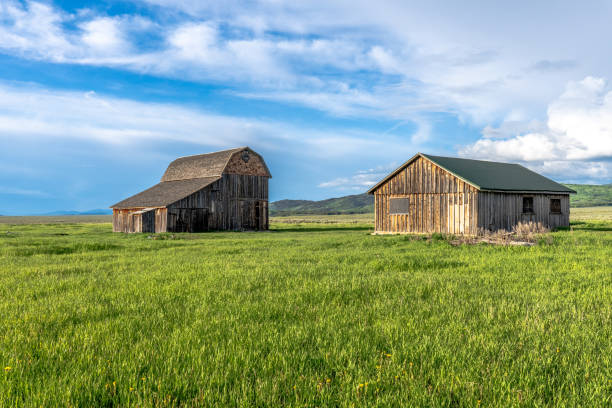 istock A large wood frame gambler barn 2032702479