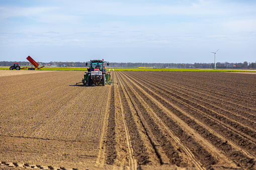 Tractors working for drilling seeding crops and sowing is the process of planting seeds at agricultural fields against tulips gardens and wind turbines in spring time in Netherlands