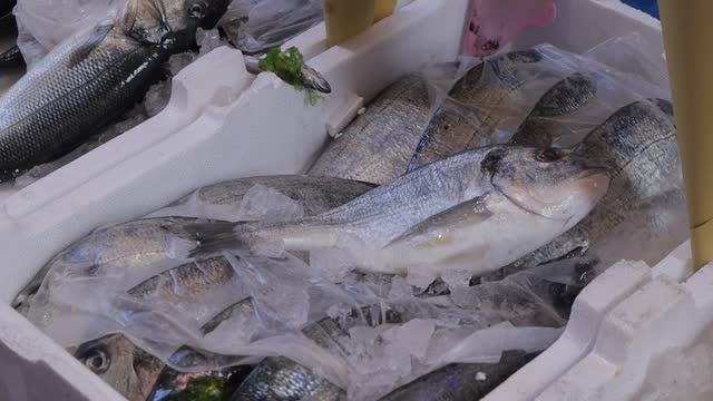 Fresh catch of sea bream chilled on ice at fishmonger market Naples CLOSE UP