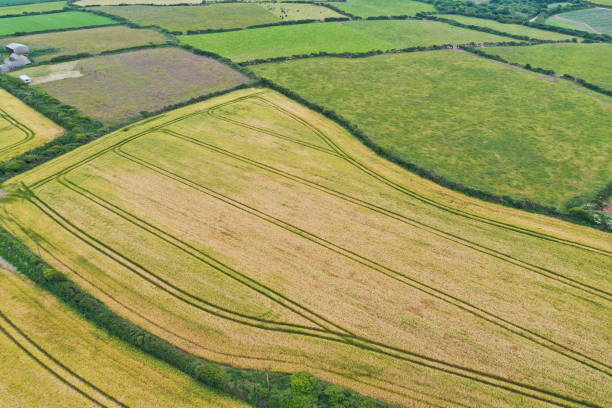 istock Endless fields of farmland 2032738263