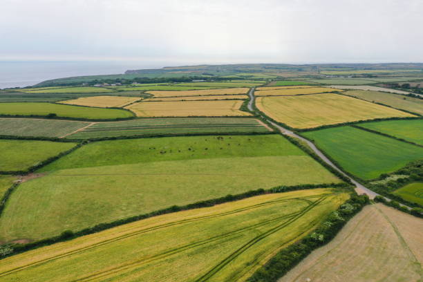 istock Endless fields of farmland 2032738277