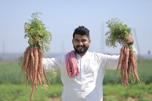indian farmer standing in large agriculture farm