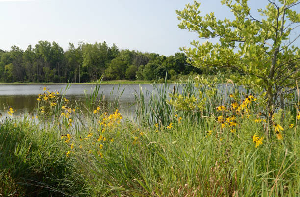 istock Celery Bog Nature Center, West Lafayette, Indiana 2032807083