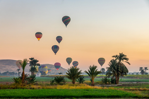 Take off of coloful hot air balloons at sunrise near the the Valley of the Kings in Luxor West bank, Egypt