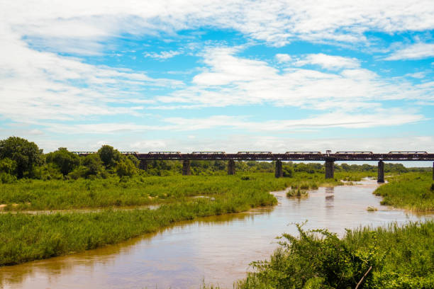 istock Serene River Landscape in Kruger National Park 2032820531