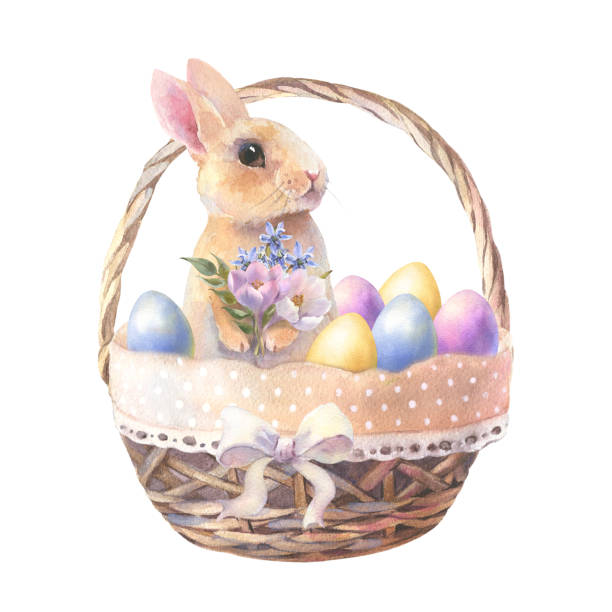 illustrations, cliparts, dessins animés et icônes de watercolor bunny, easter rabbit in floral basket with colorful eggs, spring bunny animal illustration. vintage style. drawing on isolated white background for greeting cards or invitations. - easter or easter bunny or easter egg or easter basket not business not silhouette