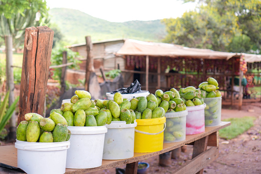 Buckets of vibrant green prickly pear fruit are displayed on a simple wooden table at a rustic roadside stall, with a hint of rural life in the softly focused background.