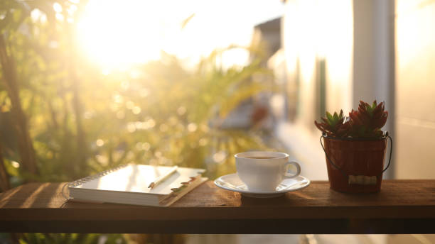 istock Coffee cup and notebook and plant pot on wooden table under sunlight 2032861998