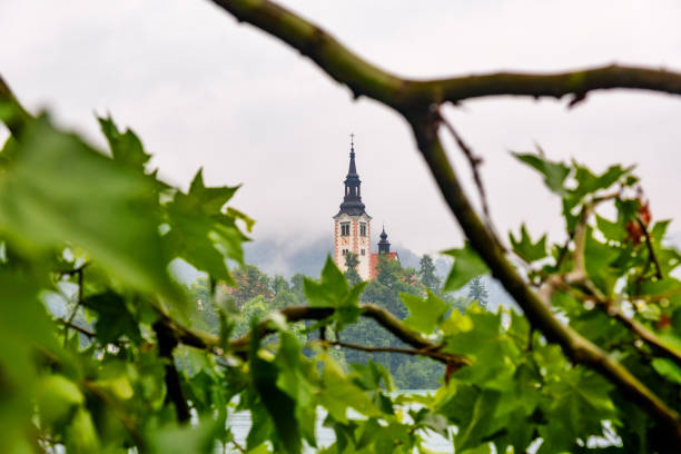 Bled, Slovenia - June 28, 2023: Beautiful Lake Bled in Slovenia.