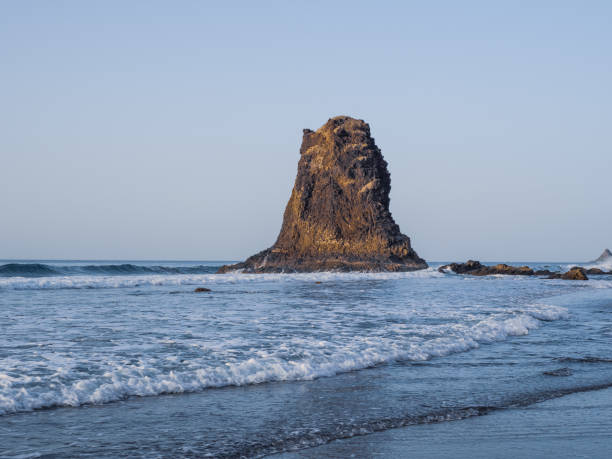 istock Beach Playa de Benijo on Tenerife 2032922018