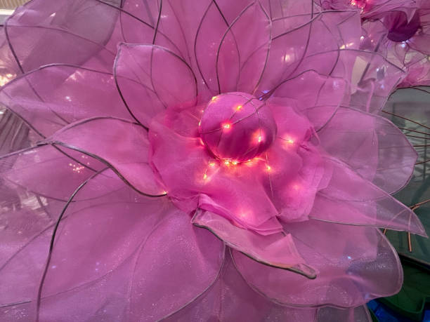 A close-up view of a vibrant pink flower resting on a wooden table. The delicate petals and green stem of the flower are in sharp focus, against a soft blurred background.