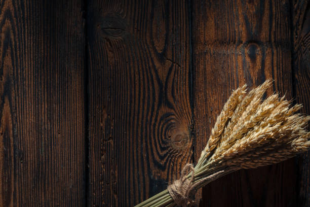 Free Stock Photo of Wheat bundle tied with rustic twine on dark ...