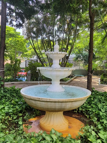 Fountain in the garden.