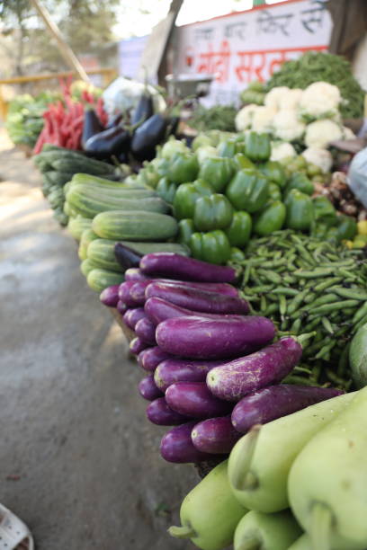 istock vegetable market stock photos and high res picture 2033053708