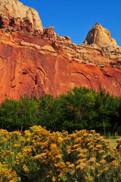 Spectacular sandstone canyon walls around Fruita, Capitol Reef National Park, Utah, Southwest USA.