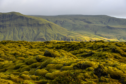 An otherworldy, moss-covered lava field ear Kirkjubaejarklaustur, South Coast of Iceland.