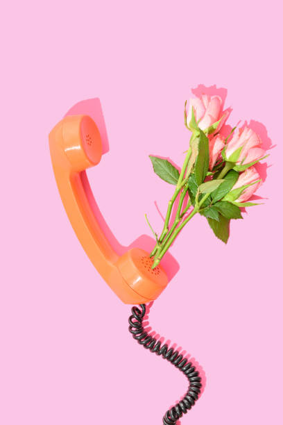 istock Roses spring flower with orange handset on a pink background 2033068339