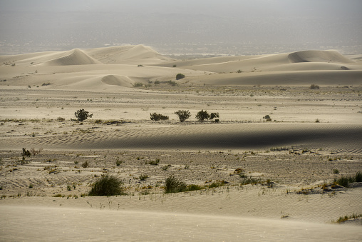 Windy afternoon on the sand dunes near the town of Fiambalá, Catamarca, Argentina.