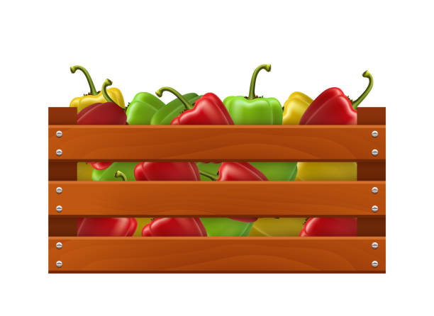 istock Wooden box with bell peppers. Vector realistic illustration isolated on white background. 2033081620