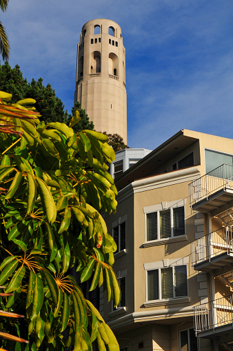 A view of the Coit Tower, Telegraph Hill, San Francisco, California, USA.