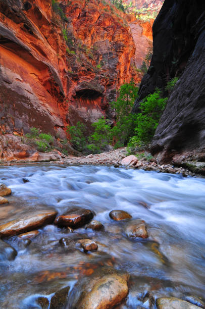 istock Long exposure in the Zion Narrows 2033099005