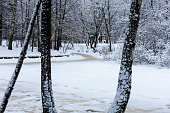 Winter landscape with frozen river and trees covered with snow in the park