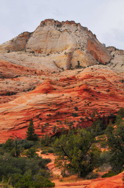 istock Utah Scenic Byway 9 cutting through the sandstone wonderland around Checkerboard Mesa 2033100645