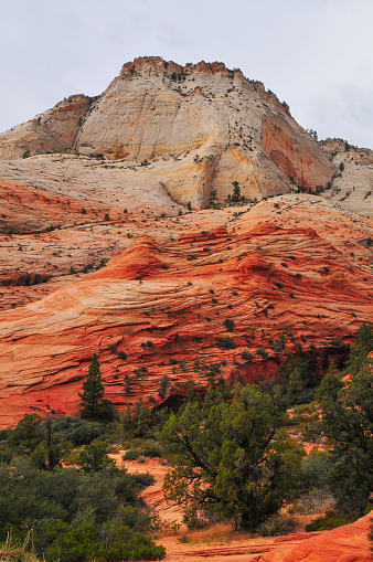 The spectacular Utah Scenic Byway 9 from Springdale to Mt. Carmel Junction cutting through the sandstone wonderland around Checkerboard Mesa, Zion National Park, Utah, Southwest USA.