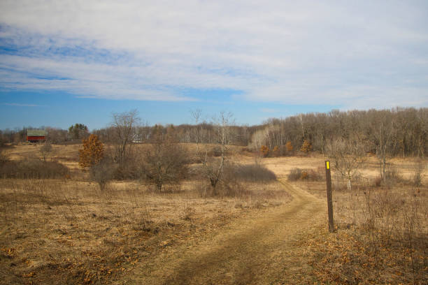 istock Trail Through Field With Market 2033127443
