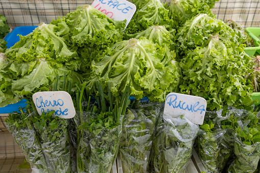 vegetables for sale in a street market with names in Portuguese: green scent, arugula and lettuce. Sao Paulo, Brazil