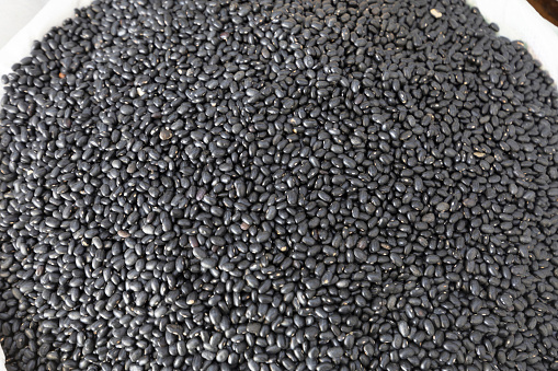 Phaseolus vulgaris is scientific name of Black Turtle Bean legume. Also known as Frijoles and Feijao Preto. Closeup of grains, background use.