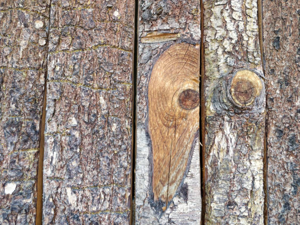 風化した木の板の接写で、自然な模様や節があります。 - wood grain plywood wood textured ストックフォトと画像