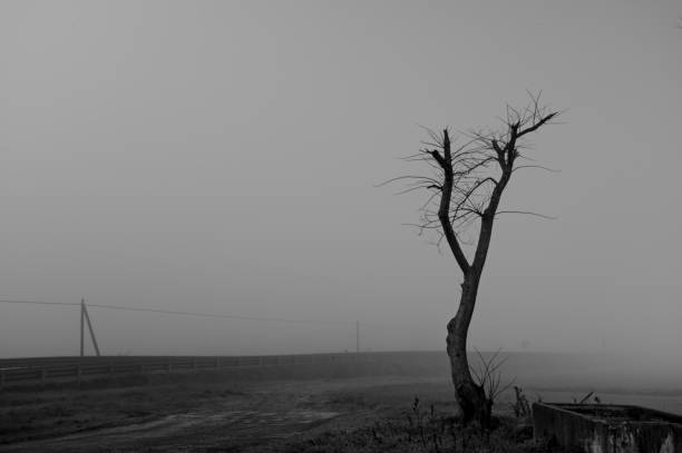 sad picture with objects surrounded by fog
