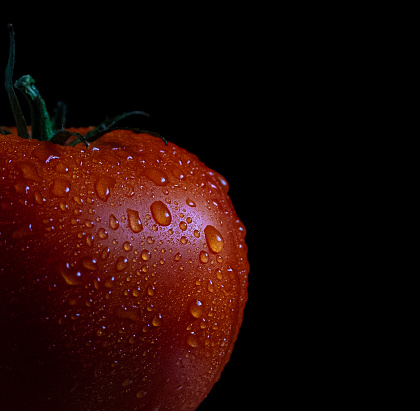 macro image of a fresh, juicy tomato