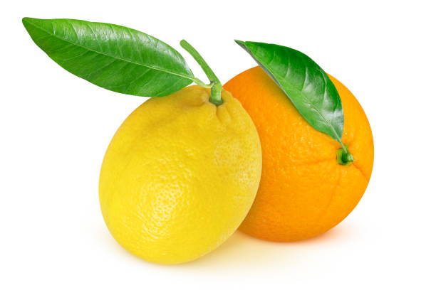 istock Orange and lemon on isolated white background. 2033199893