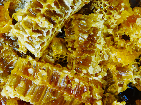Lots of honeycombs pictured after after extraction from beehives.