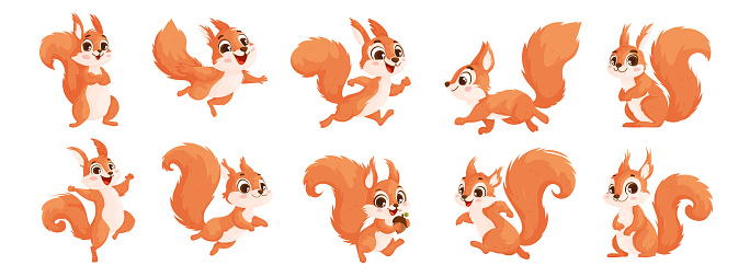 Collection of funny little brown squirrels. Animal emotion. Set of cute cartoon squirrels. Animal cartoon character design.