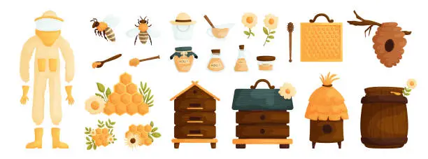 Vector illustration of Set of honey products. Jar, bee insect, ladle, honeycomb, flowers, beehive and barrel. Honey and apiary production or equipment. Natural organic product, healthy sweet food, sugar dessert. Vector